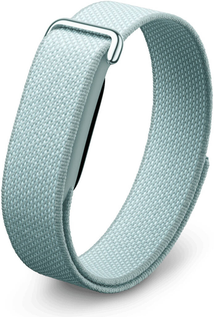 Google Fitbit Air