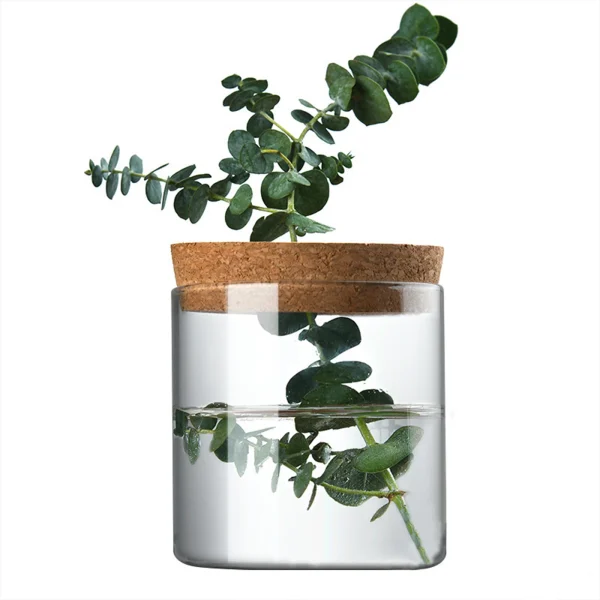 8 20cm Clear Glass Hydroponic Plant Pots Home Decoration Creative Greenery Desktop Ecological Glass Vase Green 1