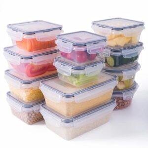 Airtight Food Storage Container With Lid Leak Proof Snap Lock Bpa Free Plastic