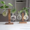 Creative Glass Desktop Planter Bulb Vase Wooden Stand Hydroponic Plant Container Home Tabletop Decor Vases