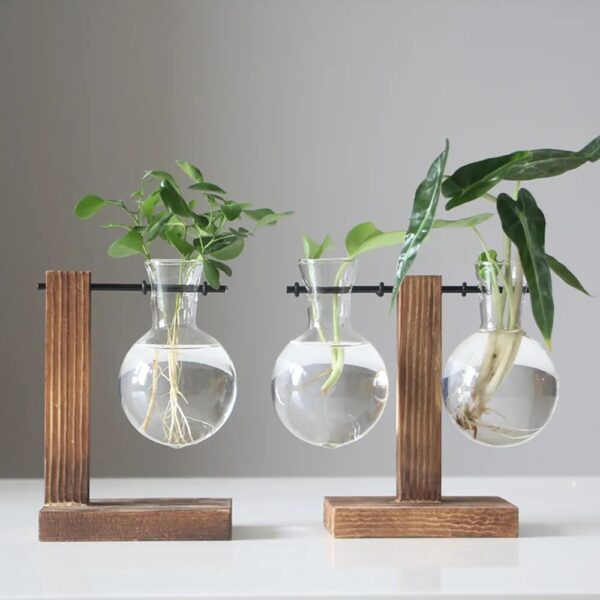 Creative Glass Desktop Planter Bulb Vase Wooden Stand Hydroponic Plant Container Home Tabletop Decor Vases 2