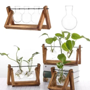 Hydroponic Plant Vases Glass Vase Vintage Bonsai Flower Pot Terrarium Tabletop Tray Wooden Frame Home Decor