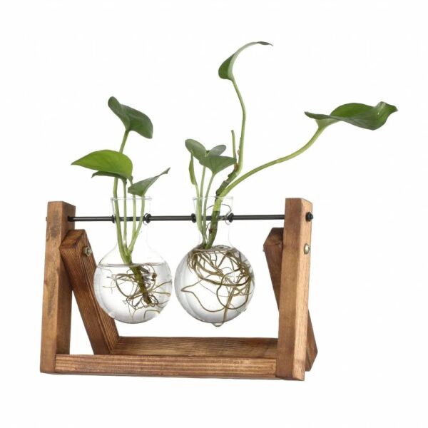 Hydroponic Plant Vases Glass Vase Vintage Bonsai Flower Pot Terrarium Tabletop Tray Wooden Frame Home Decor