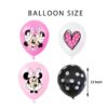 12pcs-ballon