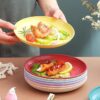 Round Salad Dessert Dinner Plate Stackable Unbreakable Bpa Free Assorted Dish Microwave Safe Fruit Plate For