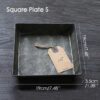 square-plate-s