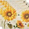 Kf sb5ad44ec55f94517bfea1d6c6f479d79k