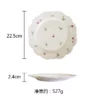 plate-22-5cm
